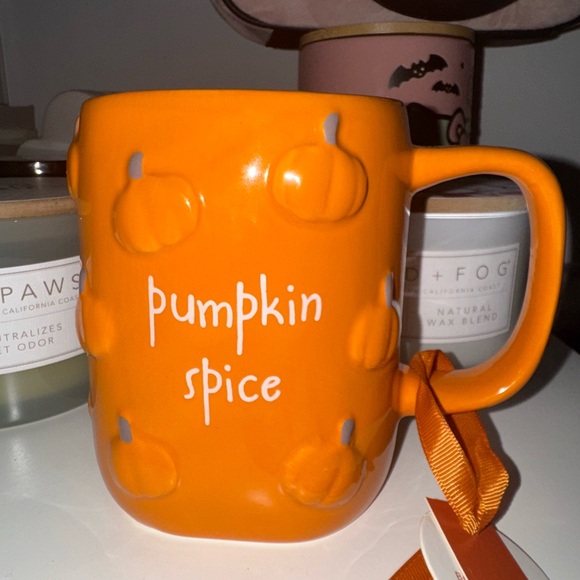 pumpkin Spice Rae Dunn Mug - Picture 5 of 5